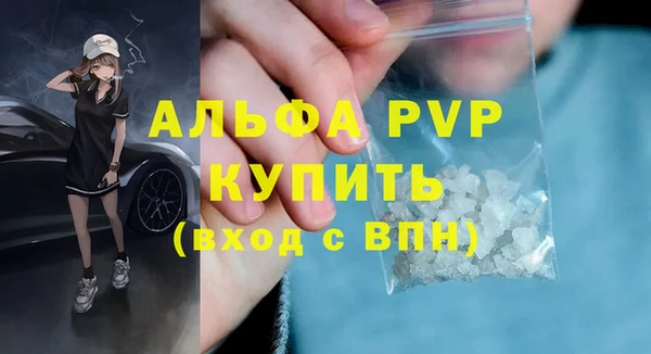 сатива Чердынь
