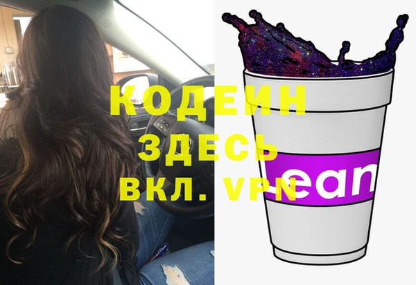 apvp Каменка