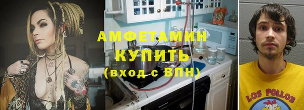 мдпв Каменногорск