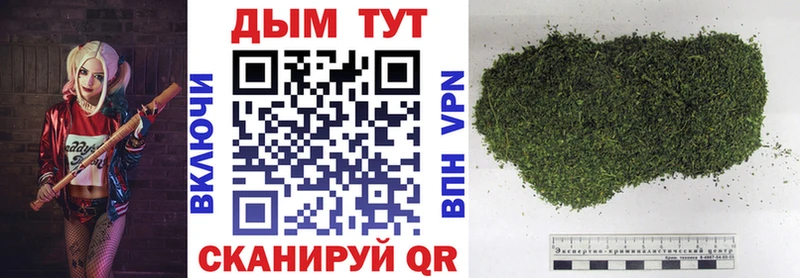 где купить наркотик  Туран  Шишки марихуана план 